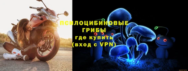 ешки Козловка