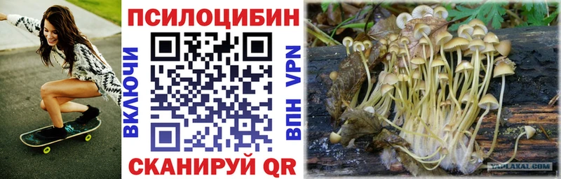 Галлюциногенные грибы Psilocybe  Купить где  Старая Русса 